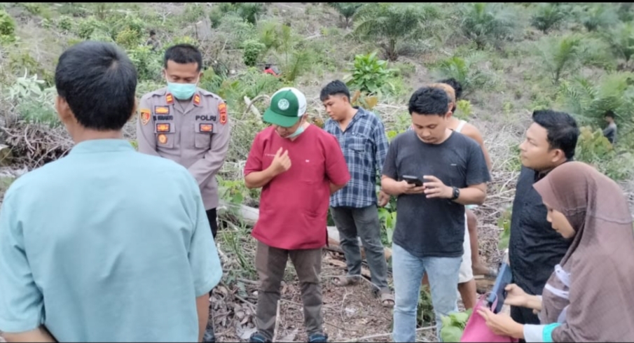 Tengkorak Manusia Ditemukan di Kebun Sawit Simpang Jelutih, Diduga Warga Hilang Sejak Maret